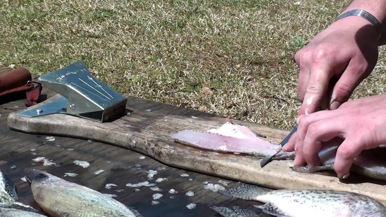 Fish Cleaning 101