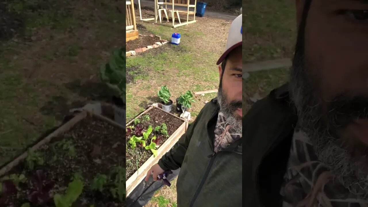 What a beautiful day in the homestead
