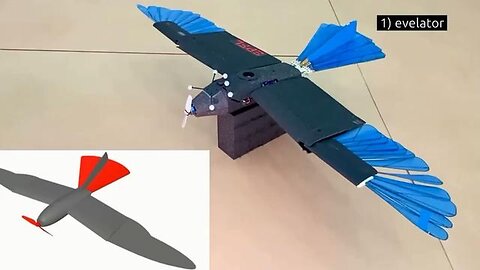 Switzerland is developing drones with wings and tails that can change shape