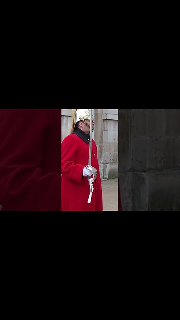 OK I'm going now #horseguardsparade