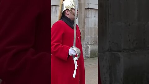 OK I'm going now #horseguardsparade