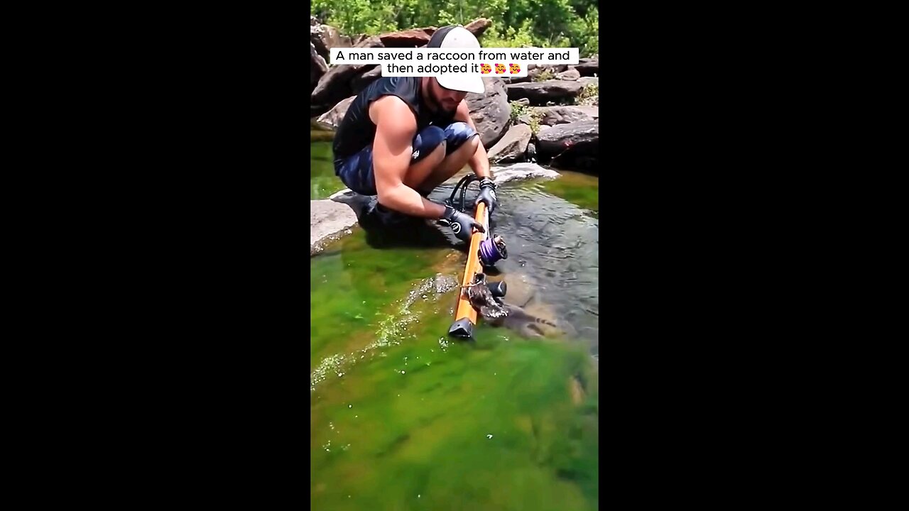 A man saved a raccon