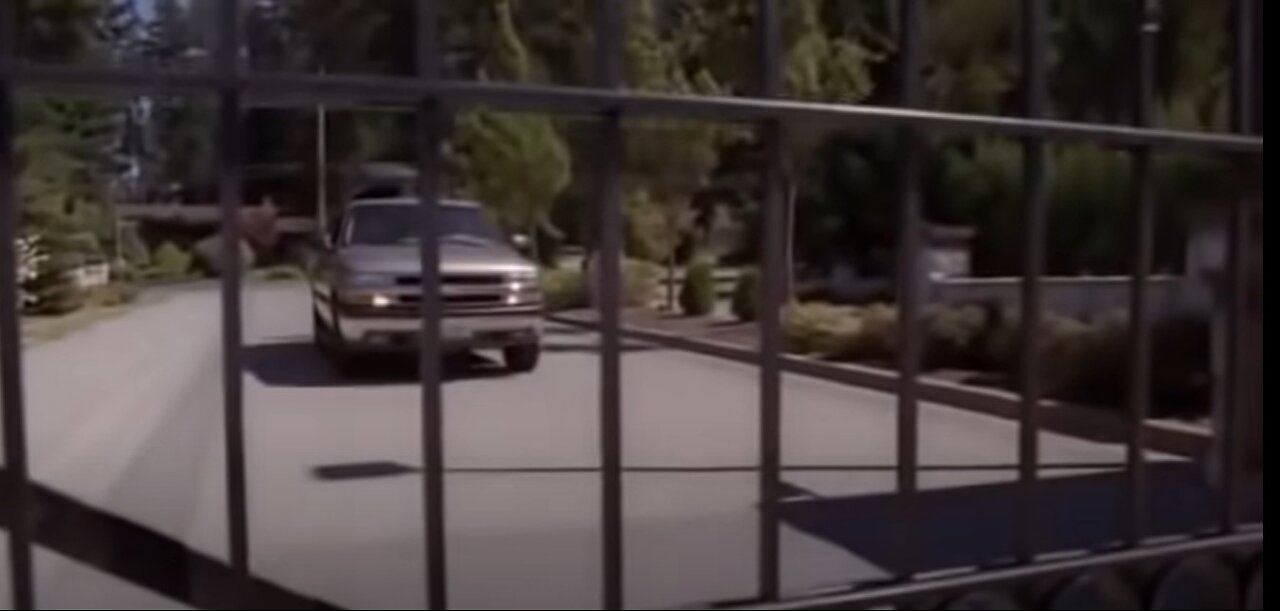 ~We Don't Let No Stupid Horses In Our Town~