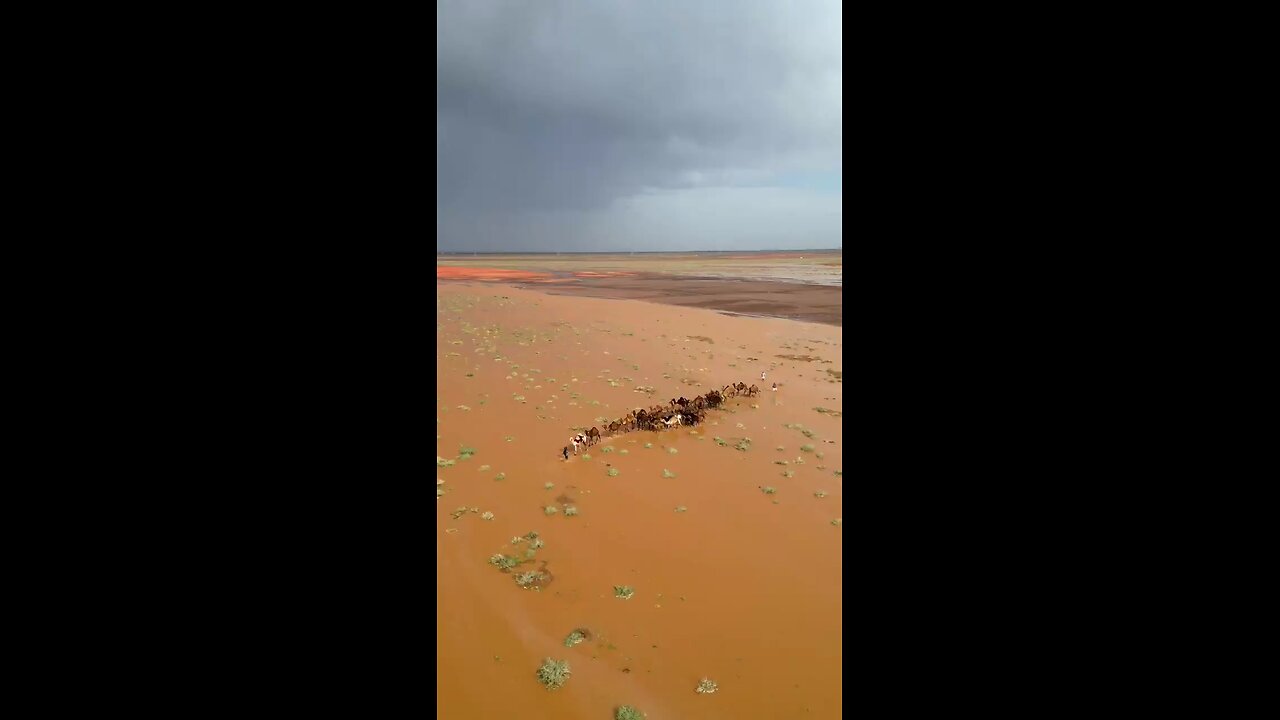 😱 Inundações no deserto...