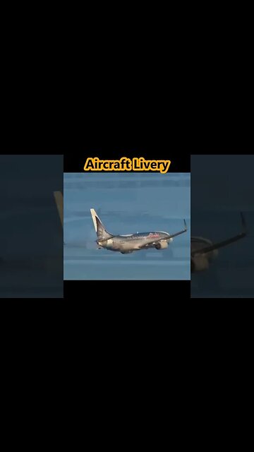 Watch #Hilarious #Cute Animals #Aircraft #Livery #Flying #Aviation