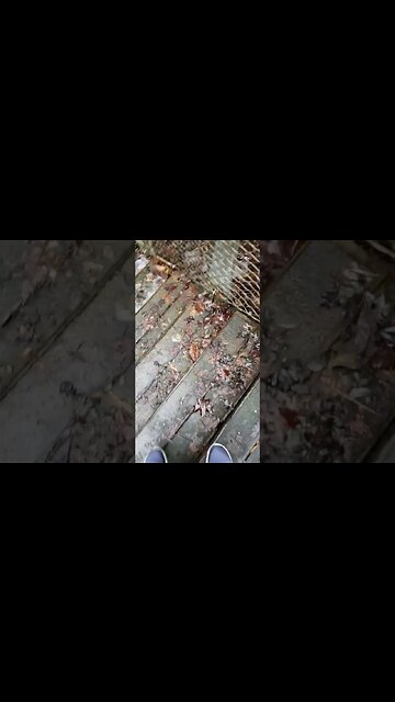 Walking under waterfalls💦