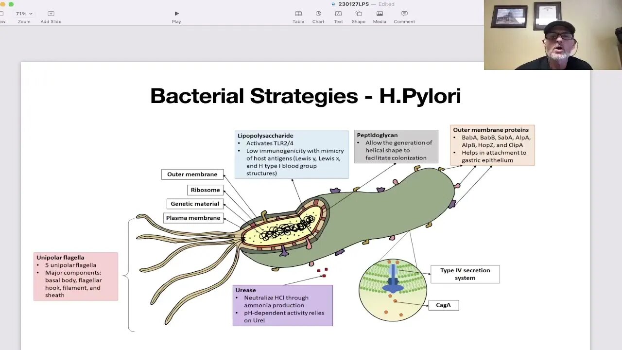 Chip Talks: Lipopolysaccharides (LPS)