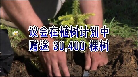 解析：议会在植树计划中赠送 30,400 棵树