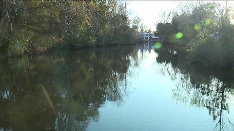 Health of beloved Florida spring should improve after water plant's closure