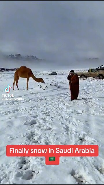 Snowing in Saudi Arabia biblical event