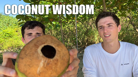 This Coconut Shares Some Wisdom About Life 🥥