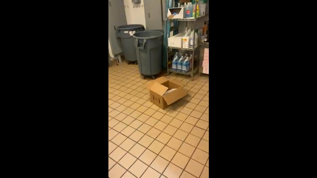 What I do all day at work