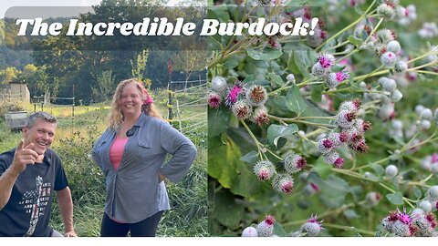 Beneficial Weeds: Burdock