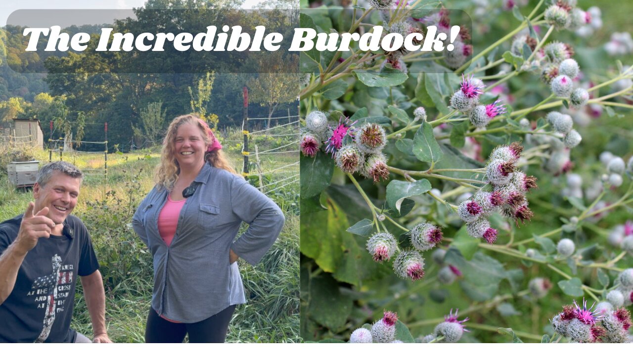 Beneficial Weeds: Burdock