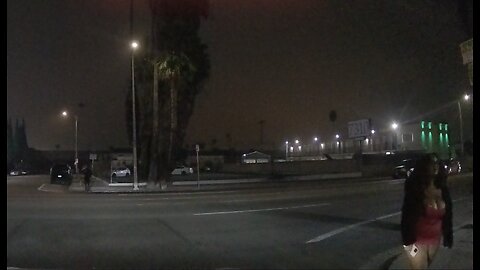 South Los Angeles on [Black] Friday