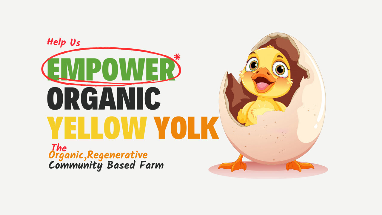 Organic Yellow Yolk Farm