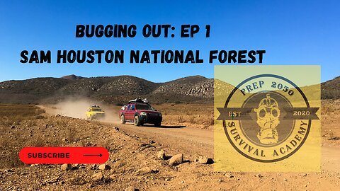 Bugging out : Sam Houston National Forest