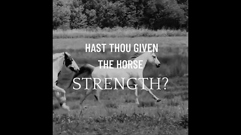 Hast Thou Given The Horse Strength?