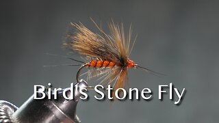 Bird’s Stone Fly