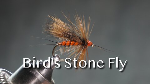 Bird’s Stone Fly