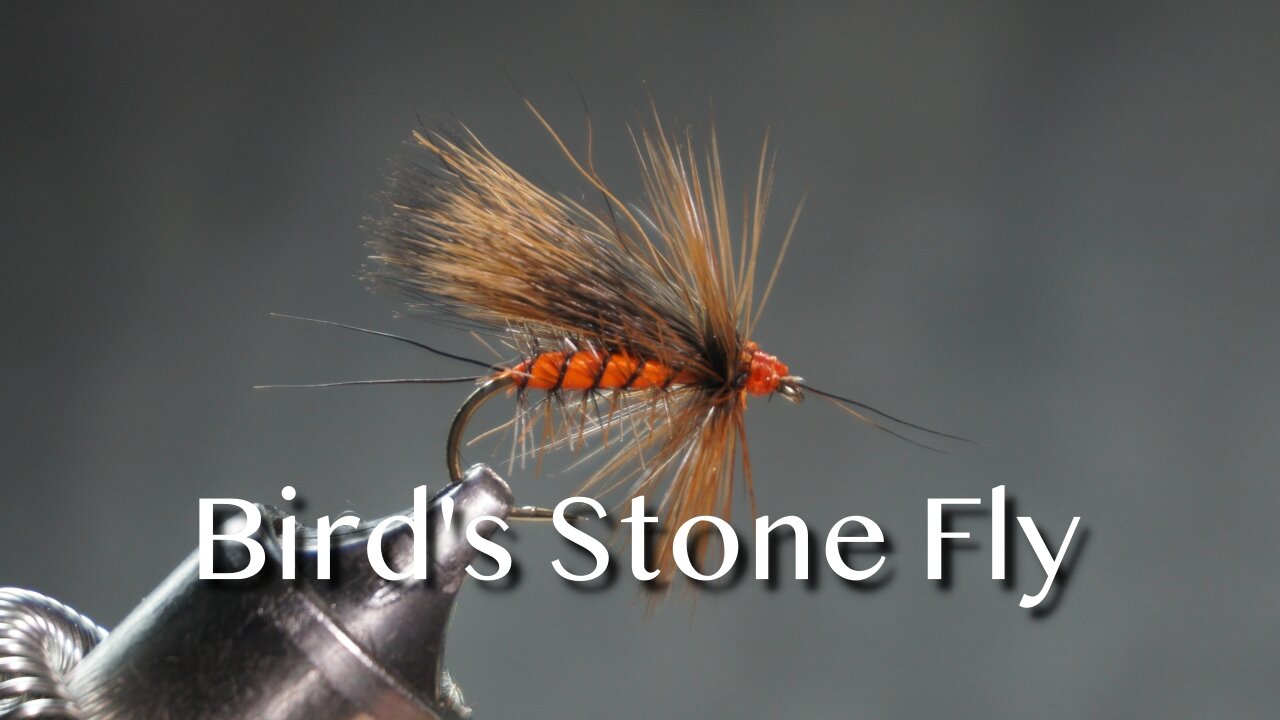 Bird’s Stone Fly