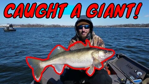 We Caught a GIANT! Pre Spawn Walleye Fishing