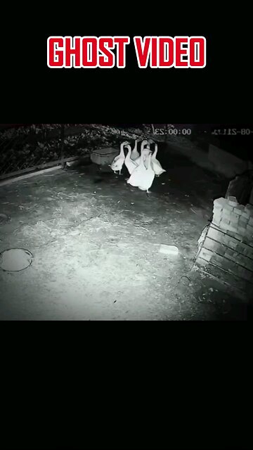 👻 Ghost Video 👽 😱