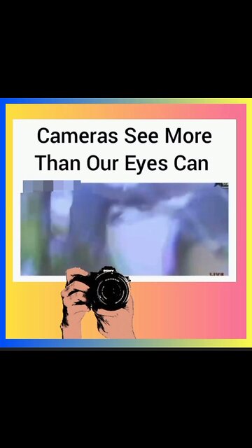 CAMERAS 📷 SEE MORE...