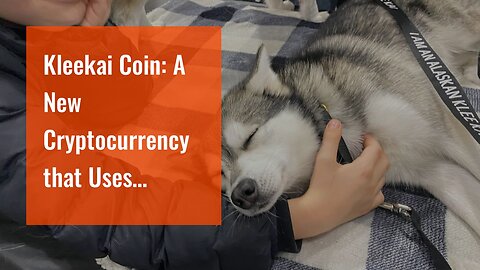 Kleekai Coin: A New Cryptocurrency that Uses Kleekai Technology!