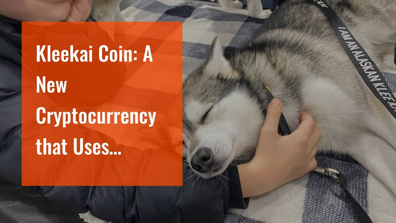 Kleekai Coin: A New Cryptocurrency that Uses Kleekai Technology!