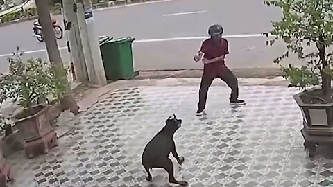 Man chasing dog Defend against dog attack