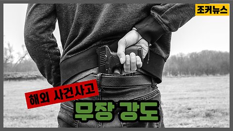 무장 강도 armed robber