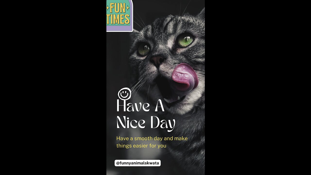 Funniest cat video compilation part#3 | funny cat | cute cat | cat rumble | cats | memes |
