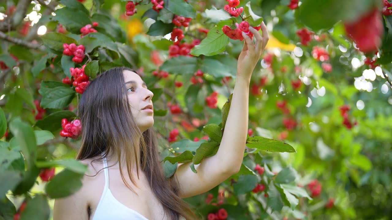 The Calming Sounds of Summertime: Harvesting, Cooking and Gardening