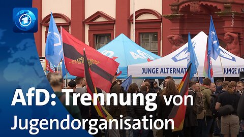 AfD will sich von der „Jungen Alternative“ trennen