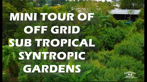 Permaculture tour of Off Grid Subtropical Gardens
