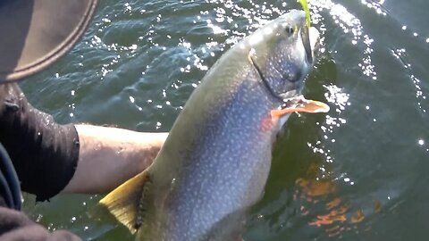 Fishing for Lake Trout...Maybe even catching some!