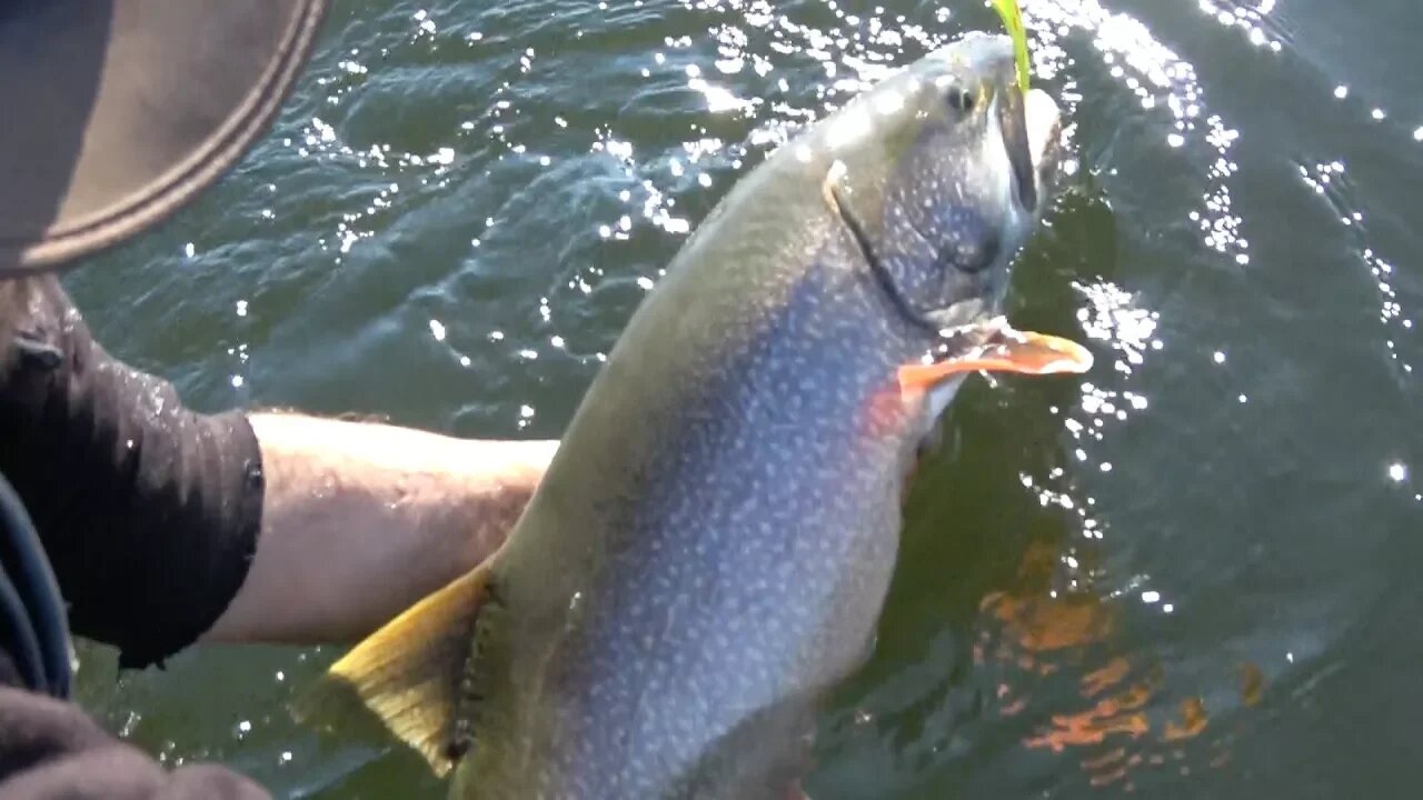 Fishing for Lake Trout...Maybe even catching some!