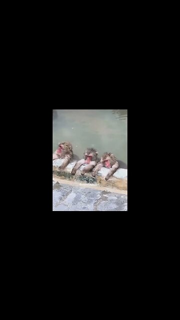 So relaxing 😌 #shorts