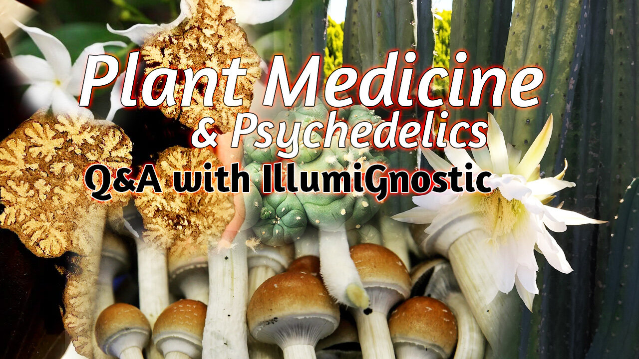 Psychedelics and Plant Medicine: Unlocking Your Secret Superpowers: AMA w/ IllumiGnostic