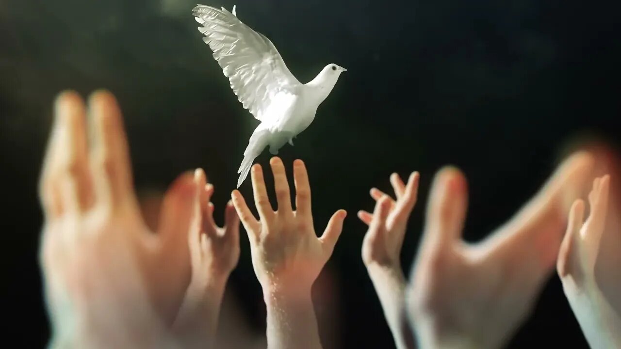 hands lifted up to dove SBV 300914776 HD