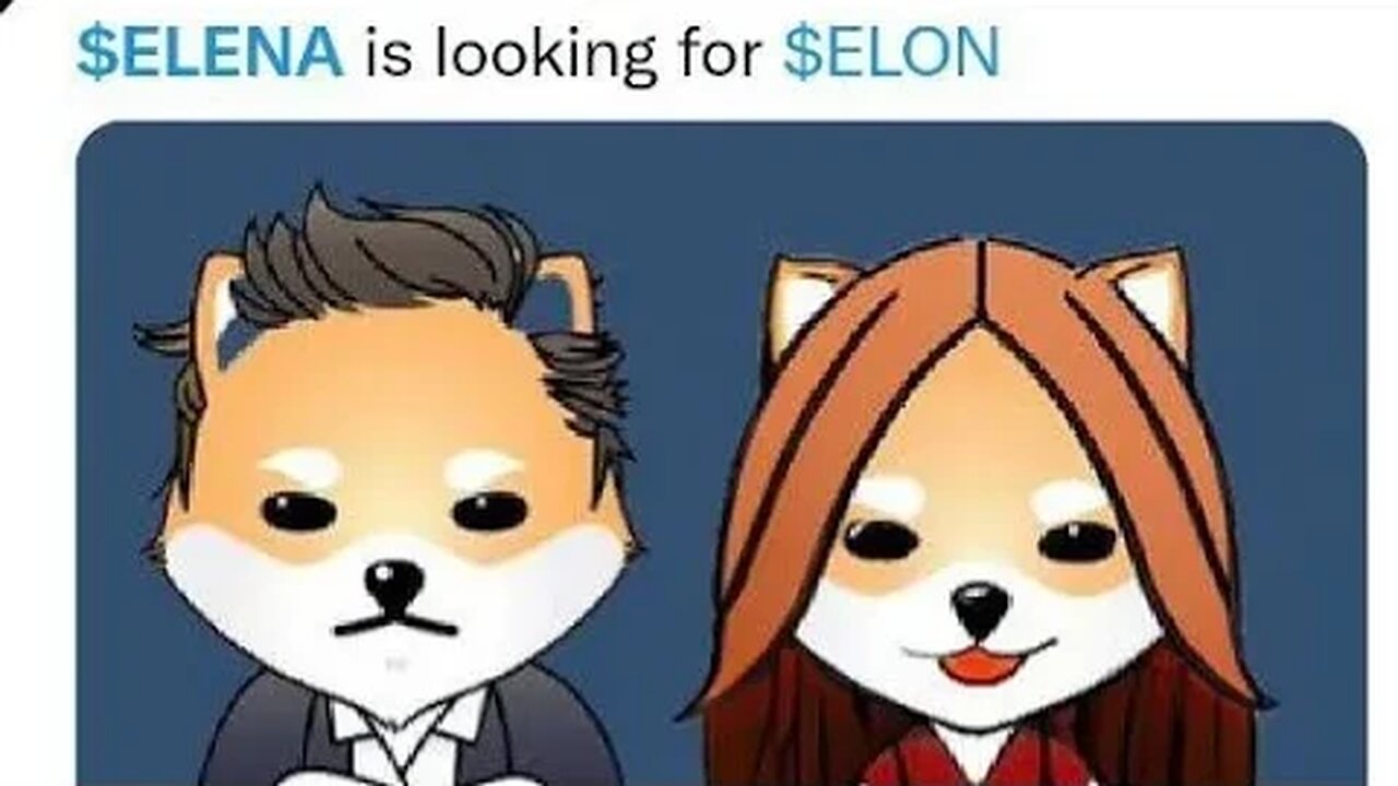 Elena is DogelonMars girlfriend.