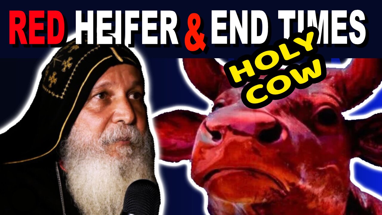 URGENT! - Why The Red Heifer Prophecy Is About To Happen In 2024 - The End Times - Mari Emmanuel