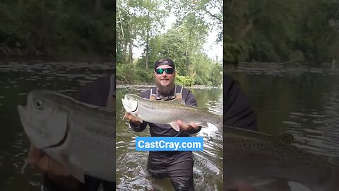 Cast Cray Jigs Catch the Bigs!!! #castcray #fishing #fishinghowto #bass #bassfishing #howto #shorts