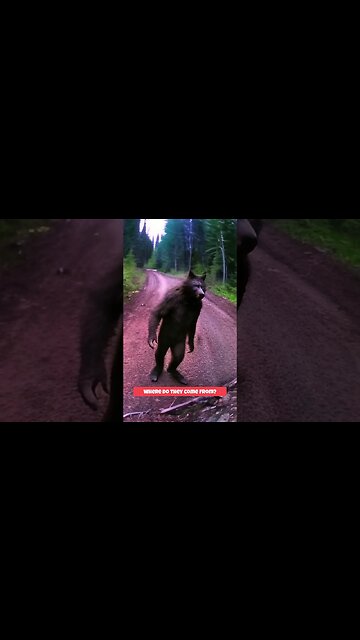 National Parks Under Attack #shorts