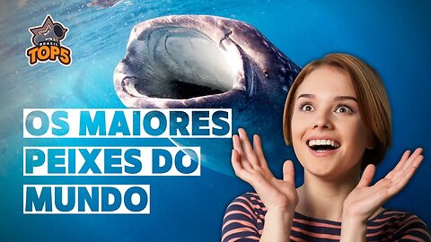 Os MAIORES peixes marinhos do mundo! GIGANTES!