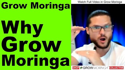 Make $$ A Million Dollars Growing Moringa For Animal Feed vs Human Food | Test Soil For Heavy Metals