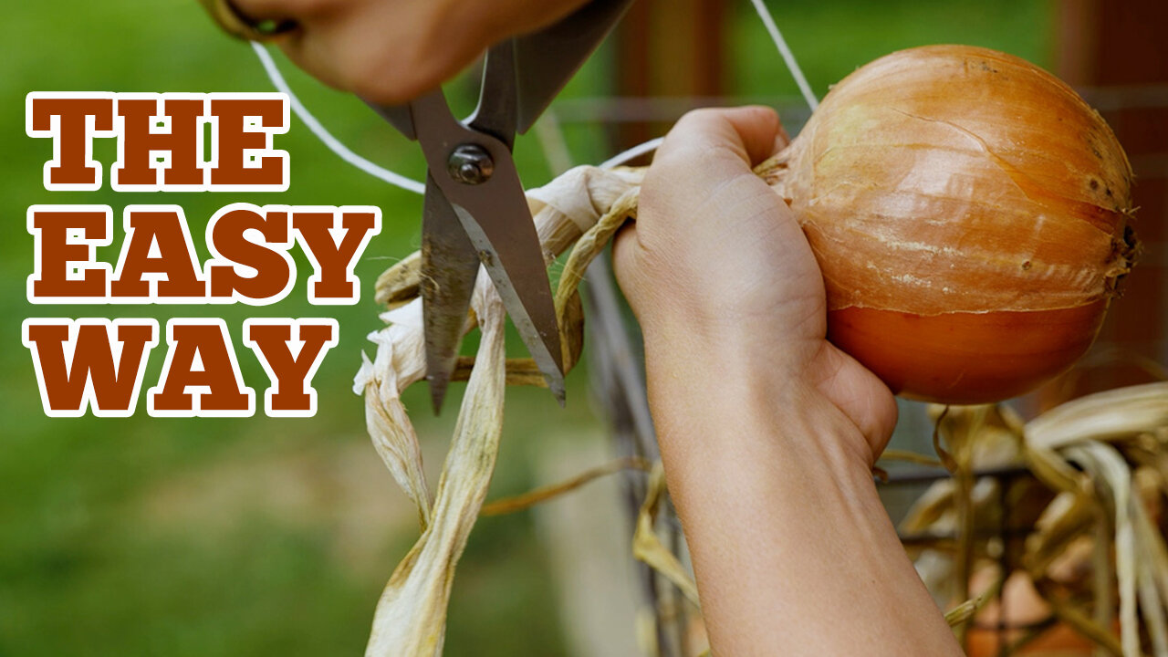 Store Onions THIS WAY for Long-Term Storage (Stringing Onions)