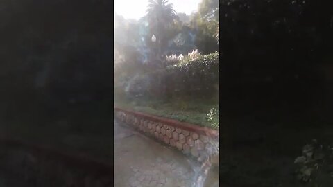 الحديقة