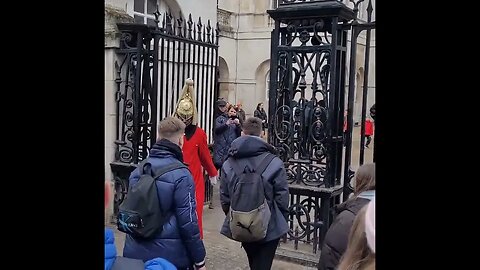 The kings guard serious look #horseguardsparade